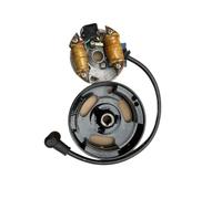 MIGHTY SCAPERS Stator et Rotor Core 1E40F 1 E45F1E45FP 1e40FP Armature Plate Ignition Magneto Module pour 3WF-18 3 2.6 Knapsack Mist-Duster Sprayer
