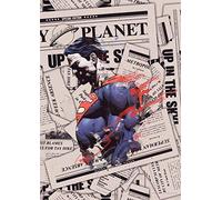 MIGHTYPRINT DC Comics - Superman - Daily Planet - Décoration murale durable 43,2 x 61 cm - Non fabriqué en papier - Collection sous licence officielle
