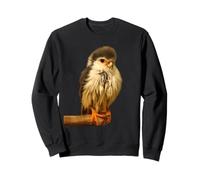 Mignon Bébé Faucon Oiseau Faune Illustration Nature Animal Sweatshirt