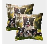 Mignon Border Collie Housse De Coussin Ensemble De 2 Taie d'oreiller Décoratif Canapé Confort Et Douceur Garantis Coussins pour Animaux De Compagnie 50x50cm