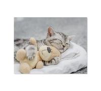 Mignon Chaton Faisant des câlins avec Un Nounours，1000 Pièces Puzzles - Jeux Éducatifs Jouets Joli Cadeau Assemblage Puzzles pour Adultes（38x26cm）-A12