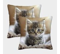 Mignon Chaton Housse De Coussin Ensemble De 2 Le Chat Animaux de Compagnie Housse De Coussin Décorative Confort Et Douceur Garantis Housses De Coussin avec Fermeture À Glissière 45x45cm