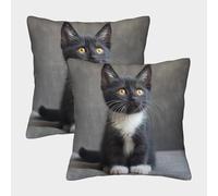 Mignon Chaton Housse De Coussin Ensemble De 2 Le Chat Animaux de Compagnie Housse De Coussin Décorative Confort Et Douceur Garantis Housses De Coussin avec Fermeture À Glissière 45x45cm