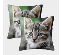 Mignon Chaton Housse De Coussin Ensemble De 2 Le Chat Animaux de Compagnie pour Chambre, Canapé, Chaise, Lit,Jardin Confort Et Douceur Garantis Décoration Saisonnière 50x50cm