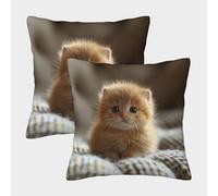 Mignon Chaton Housse De Coussin Ensemble De 2 Le Chat Animaux de Compagnie pour Chambre, Canapé, Chaise, Lit,Jardin Confort Et Douceur Garantis Housses De Coussin pour Jardin 50x50cm