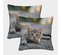 Mignon Chaton Housse De Coussin Ensemble De 2 Le Chat Animaux de Compagnie pour Chambre, Canapé, Chaise, Lit,Jardin Super Douce Housses De Coussin avec Fermeture À Glissière 50x50cm