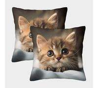 Mignon Chaton Housse De Coussin Ensemble De 2 Le Chat Animaux de Compagnie pour Chambre, Canapé, Chaise, Lit,Jardin Confort Et Douceur Garantis Coussins pour Salon 45x45cm
