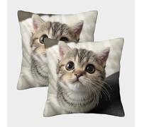 Mignon Chaton Housse De Coussin Ensemble De 2 Le Chat Animaux de Compagnie Taie d'oreiller Décoratif Canapé Confort Et Douceur Garantis Taies d'oreiller pour Terrasse 40x40cm
