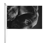 Mignon chien labrador noir,Drapeau de jardin, bannière décorative, drapeau double face, 2 x 3 pieds, pour extérieur et intérieur