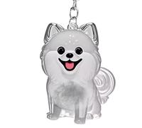 mignon Contenant Transparent pour Poils d'Animaux, Souvenir Commémoratif