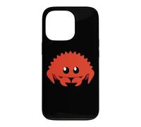 Mignon Ferris Rustacé Programmeur Informatique Professeur Coque pour iPhone 13 Pro