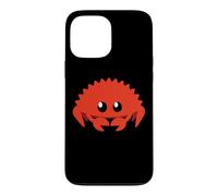 Mignon Ferris Rustacé Programmeur Informatique Professeur Coque pour iPhone 13 Pro Max