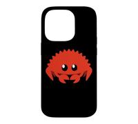 Mignon Ferris Rustacé Programmeur Informatique Professeur Coque pour iPhone 14 Pro