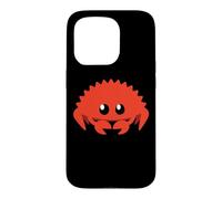 Mignon Ferris Rustacé Programmeur Informatique Professeur Coque pour iPhone 15 Pro