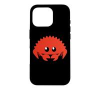 Mignon Ferris Rustacé Programmeur Informatique Professeur Coque pour iPhone 16 Pro
