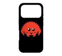 Mignon Ferris Rustacé Programmeur Informatique Professeur Coque pour iPhone 17 Pro