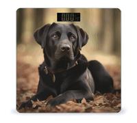 Mignon labrador balance pour poids corporel avec écran LCD haute précision, balance de pesée tendance robuste en verre trempé facile à lire pour un usage quotidien de 181,4 kg