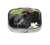 Mignon labrador noir, pilulier Meta à 2 compartiments, organiseur portable