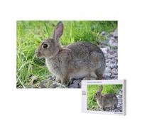 Mignon Lapin lièvre Gris,Puzzle Familial en Bois de 1 000 pièces pour Adultes et Adolescents, décoration d'intérieur