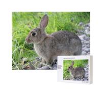 Mignon Lapin lièvre Gris,Puzzle Familial en Bois de 500 pièces pour Adultes et Adolescents, décoration d'intérieur