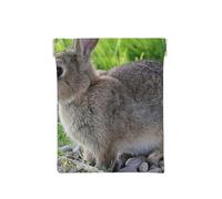 Mignon Lapin lièvre Gris, Sac de Rangement pour Femmes, Portefeuille supérieur à Presser, Petit Porte-Monnaie, Pochette de Changement