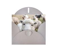 Mignon mouton agneau impression vacances amour boucle papier perle vrac avec enveloppes cartes de vœux, 10,2 x 15,2 cm