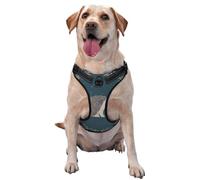 Mignon Petit hérisson,Harnais pour Animaux de Compagnie, Harnais réfléchissant réglable pour Chien,S