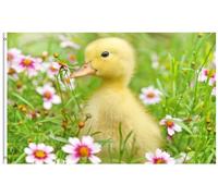 Mignon Petit Jeune Canard Arbustes À Fleurs Herbe Champ Printemps Nature Animal Drapeaux De Maison 90X150Cm Couleurs Éclatantes Drapeau Personnalisée Bannières De Pour Maison