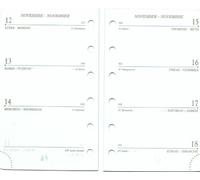 Mignon - Recharge perforée semainier 2013 - SK12R -120x73 mm - 1S / 2P - Tranche Or