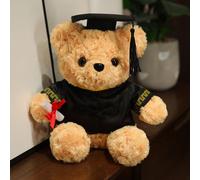Mignonne Poupée En Peluche Docteur Célibataire Ours Cadeau De Remise De Diplôme Étudiant Poupée Ours En Peluche Coffret Cadeau Individuel Marron Clair 30cm + Lumières Colorées + Petit Bouquet (Poupée 
