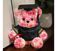 Mignonne Poupée En Peluche Docteur Célibataire Ours Cadeau De Remise De Diplôme Étudiant Poupée Ours En Peluche Couleur Rose - Coffret Cadeau Individuel 30cm + Lumières Colorées + Petit Bouquet (Poupé