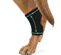 MIGOHI Genouillère légère pour chien souffrant de LCA et d'arthrite, soutien de l'articulation du jarret pour chien âgé, faiblesse de la jambe postopératoire, protège la plaie du léchage, noir, taille