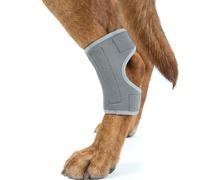 MIGOHI Genouillère légère pour chien souffrant de LCA et d'arthrite, soutien de l'articulation du jarret pour chien âgé, faiblesse de la jambe postopératoire, protège la plaie du léchage, gris, taille