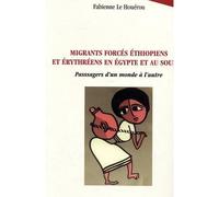 Migrants forcés éthiopiens et érythréens en Egypte et au Soudan Passagers d'un monde à l'autre - Fabienne Le Houérou - L'harmattan - broché - Essai
