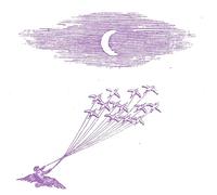 Migration Magic