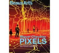 Miguel Chevalier - Pixels. Une expérience interactive avec l’univers créatif de l’IA Collectif (Auteur)