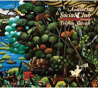 Miguel Romero - Tropico Salvaje