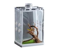 Miini Terrarium en verre pour reptiles avec fente d'alimentation et boucle de verrouillage de boîte - Cage en verre pour escargots, tarentules, lézards, scorpions, scarabées, araignées - Boîte