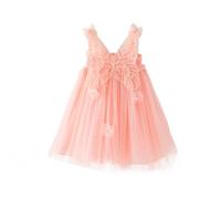 Miipat Bébé Fille Robe Jeune Enfant Tulle Papillon Princesse Tutu Robe Fête Danniversaire sans Manches Robe de Demoiselle d'honneur Bébé pour Mariage Rose Pâle 80 12-18 Mois