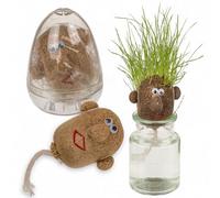 MIJOMA Tête d'herbe avec graines de gazon - Tête avec poils d'herbe - Expérience amusante pour les enfants - Amusant avec effet d'apprentissage - Superbe cadeau et petit cadeau - Un véritable