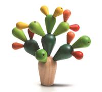 Mikado cactus