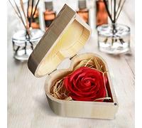 Mikamax - Savon Rose Boîte de Coeur - Rouge - Coffret Cadeau