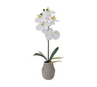 MIKASA Orchidée Artificielle en Pot, orchidée Phalaenopsis au Toucher réaliste, Pot de Ciment tissé en Relief, Branche Simple de 40,6 cm, Blanc/Jaune