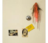 Mike Donovan Meets the Mighty Flashlight (Vinyl) 12" Album