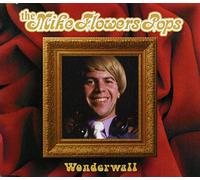 Mike Flowers Pops - Wonderwall
