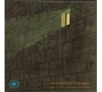 MIKE OLDFIELD & ROGER CHAPMAN - shadow on the wall 45 rpm single