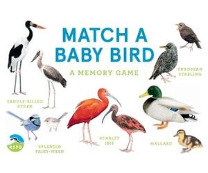 Mike Unwin Match a Baby Bird (Cards)