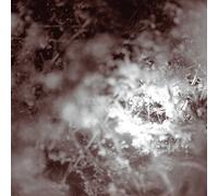 Mike Weis - Don't Know Just Walk