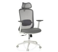 HJH Office Chaise de bureau MIKEO G – ergonomique, dossier résille, appui-tête réglable, gris