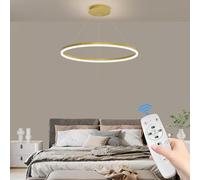 Mikeru Suspension Ronde or 60cm, Lumière D'îlot à Variateur 10% à 100% Anneau LED Moderne 3000k/4500k/6000k Lustre Salle à Manger Suspension à Hauteur Ajustable pour Cuisine ou Salon